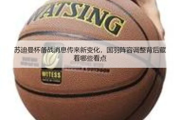 苏迪曼杯备战消息传来新变化，国羽阵容调整背后藏着哪些看点